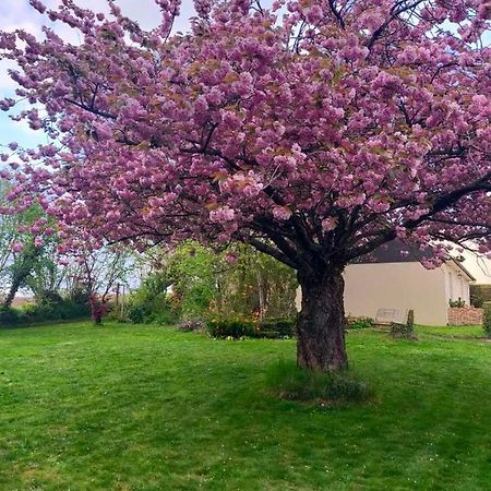 Vila Maison Chaleureuse Avec Insert En Campagne Saint-Mars-sur-la-Futaie Exteriér fotografie