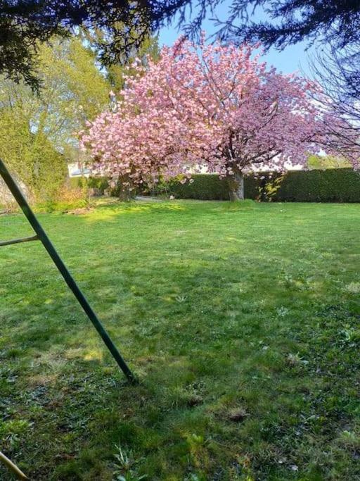 Vila Maison Chaleureuse Avec Insert En Campagne Saint-Mars-sur-la-Futaie Exteriér fotografie